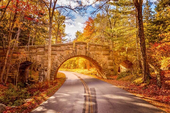 Bus Tour in Mount Desert, Maine