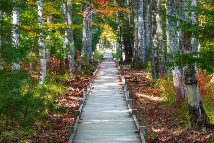 MDI Private Discovery Tour: Explore Beyond Acadia in 5 Hours photo 2
