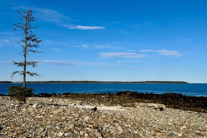MDI Private Discovery Tour: Explore Beyond Acadia in 5 Hours photo 6