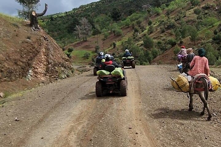 Quad Ride to Ouzoud Waterfalls: Atlas Off-Road Adventure Near Marrakech photo 5