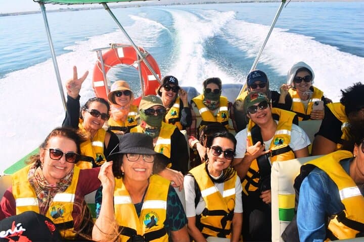Paracas & Huacachina Day Trip from Lima — Ballestas Islands, Winery Tasting and Dune Buggies photo 4