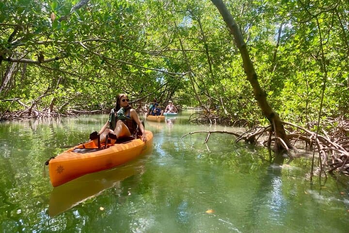 Pedal Kayak Eco Tour Marco Island & Naples — Easy Hobie Mangrove Safari photo 5