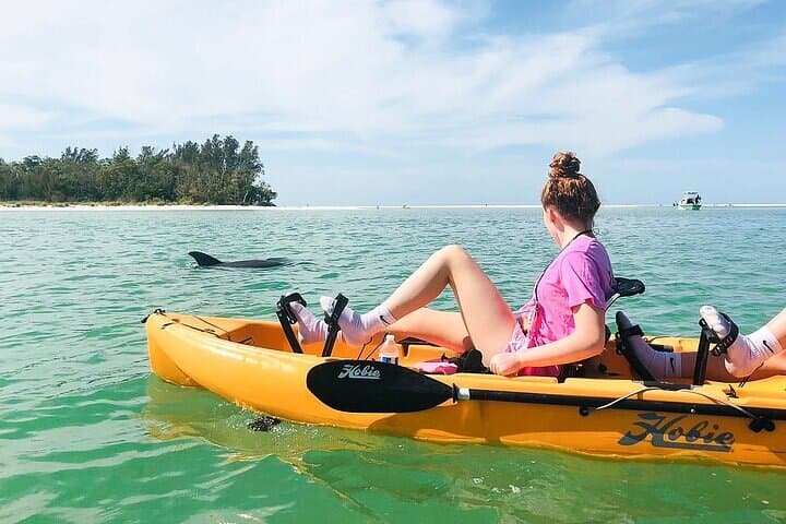 Pedal Kayak Eco Tour Marco Island & Naples — Easy Hobie Mangrove Safari