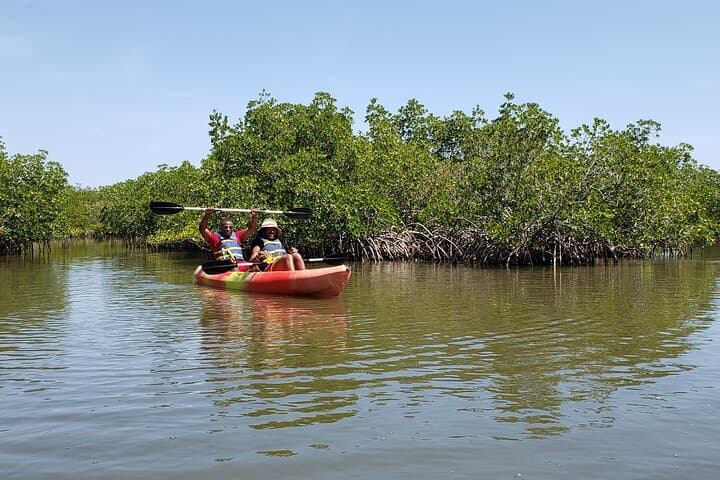 Kayaking the Backwaters of New Smyrna Beach: Dolphin & Birdwatching Eco Tour