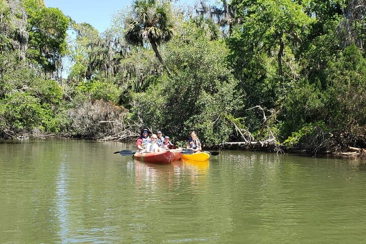 Kayaking the Backwaters of New Smyrna Beach: Dolphin & Birdwatching Eco Tour photo 3