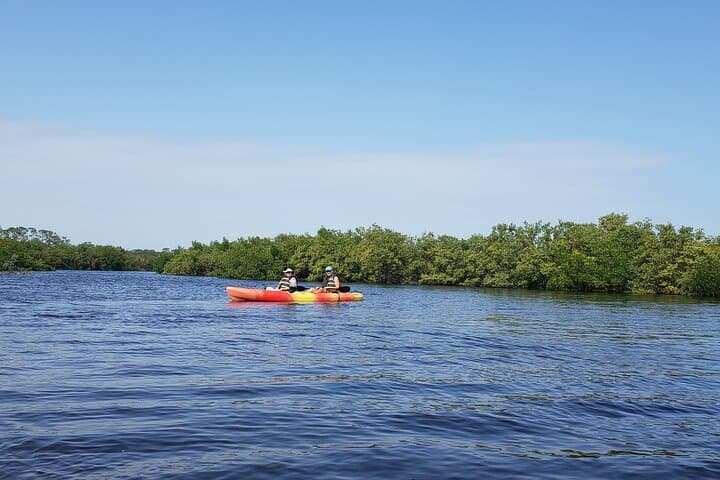 Kayaking the Backwaters of New Smyrna Beach: Dolphin & Birdwatching Eco Tour photo 4