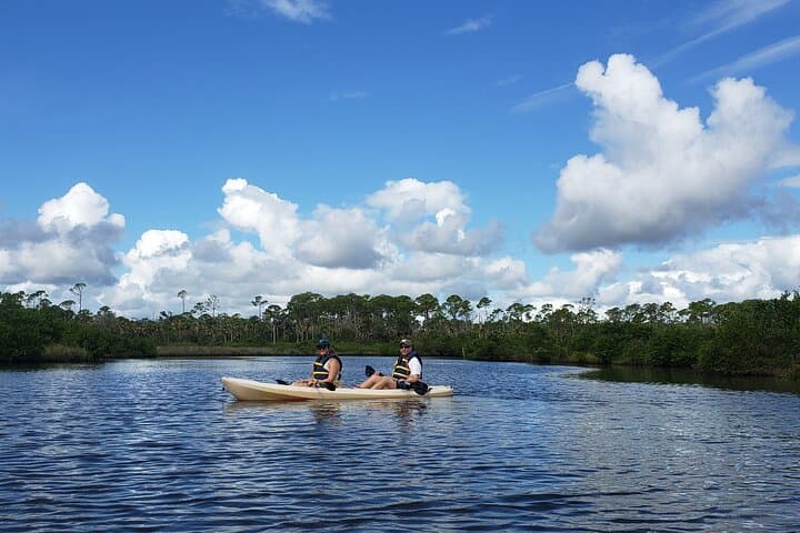 Kayaking the Backwaters of New Smyrna Beach: Dolphin & Birdwatching Eco Tour photo 5