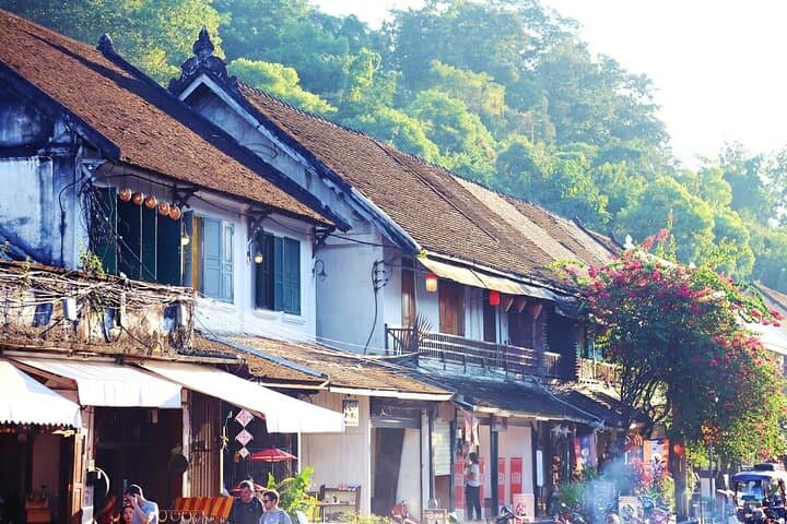 Hands-On Rice Farming Experience in Luang Prabang: Half-Day Farm Tour & Lao Lunch photo 4