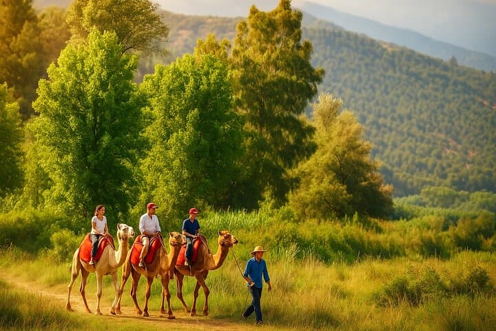 Atlas Mountains Day Trip: Imlil Hike, Argan Cooperative & Camel Ride from Marrakech
