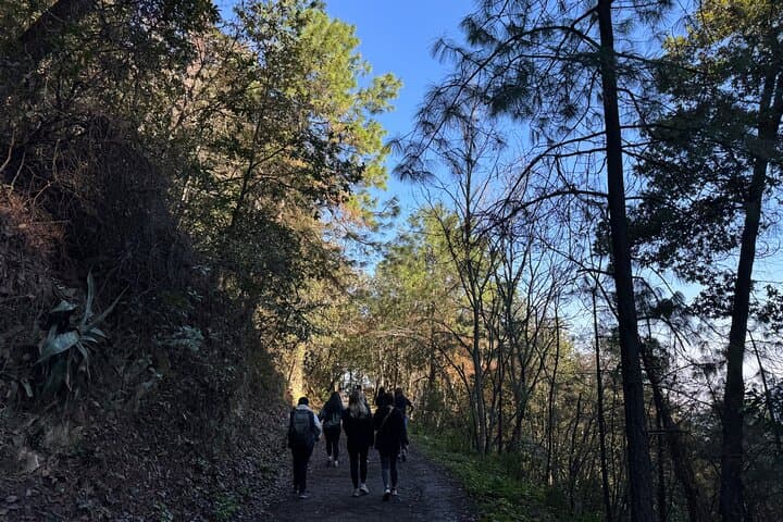 Chipinque Natural Park Hike: Guided Morning & Afternoon Walks Near Monterrey photo 5