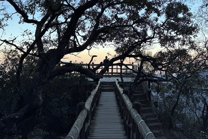 Chipinque Natural Park Hike: Guided Morning & Afternoon Walks Near Monterrey photo 4