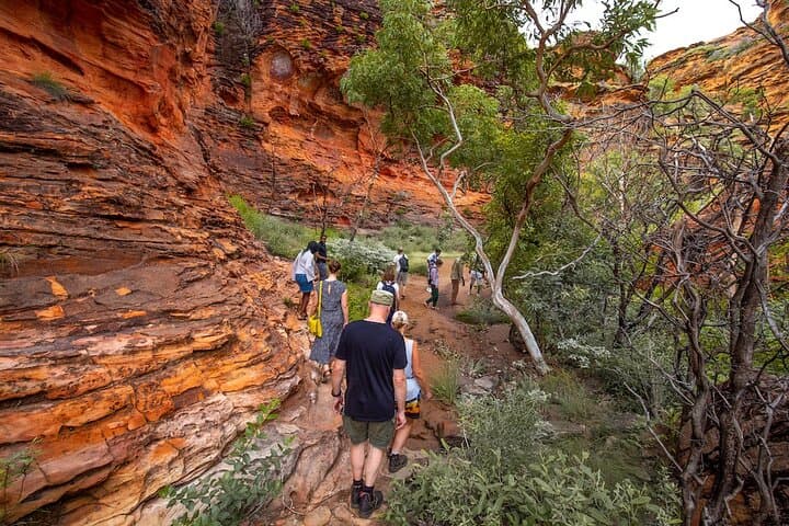 Mirima Walk: Miriwoong Culture and Rock Art Near Kununurra photo 3