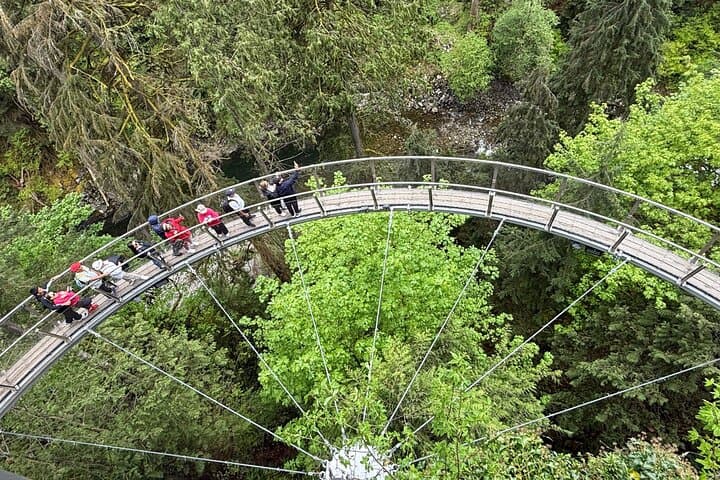 Capilano & Grouse Mountain 5-in-1 Small-Group Nature Tour from Vancouver