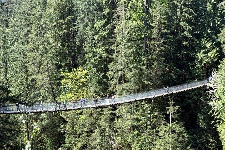 Capilano & Grouse Mountain 5-in-1 Small-Group Nature Tour from Vancouver photo 3