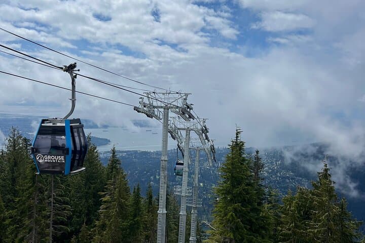 Capilano & Grouse Mountain 5-in-1 Small-Group Nature Tour from Vancouver photo 4