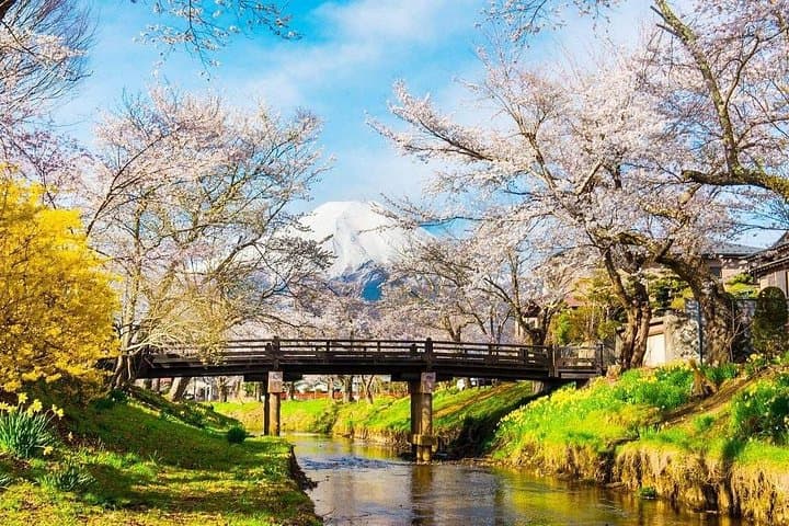 Mt Fuji Classic One-Day Tour from Tokyo: 5th Station, Oshino Hakkai & Gotemba Outlets photo 4