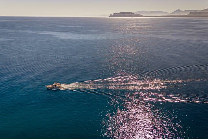 Palermo Private Boat Tour: Custom RIB Excursions to Mondello, Capo Gallo & Isola delle Femmine