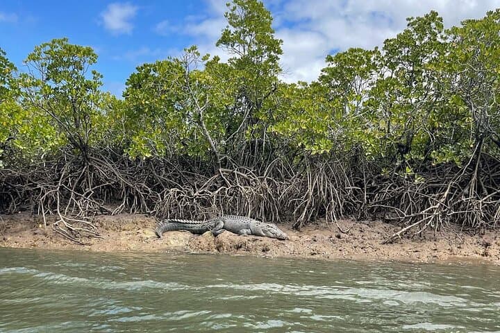 Croc Spotting Jetski Tour in Cairns: 1-Hour Trinity Inlet Adventure photo 2
