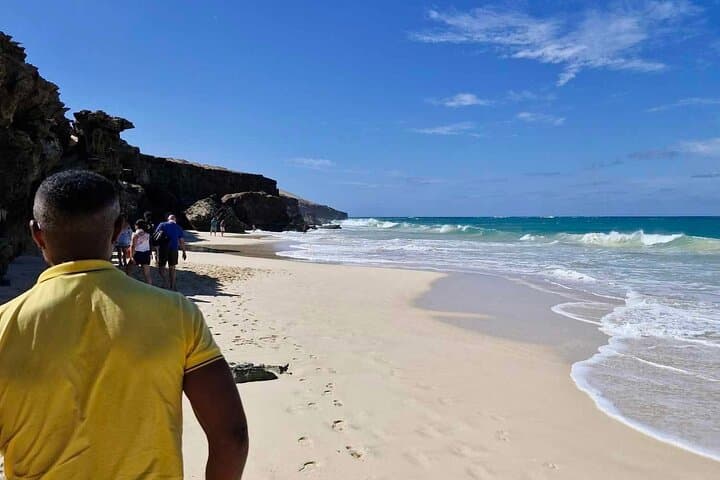 Boa Vista 4x4 Adventure: Sandboarding, Turtle & Shark Bays, Caves & Tasting photo 4