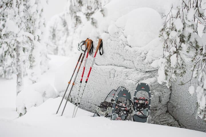 Arctic Snowshoeing in Rovaniemi: Explore Lapland’s Silent Forests on Foot