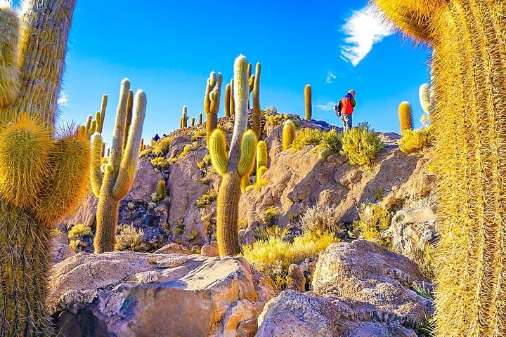 7-Day Uyuni Salt Flats & Eduardo Avaroa Desert Adventure from La Paz photo 2