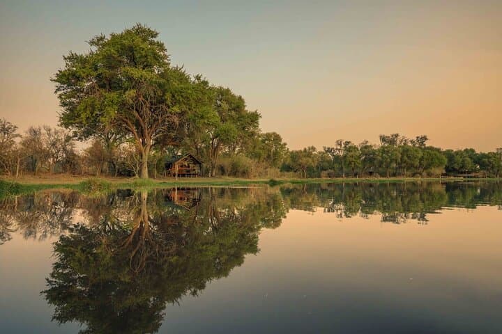 Okavango Delta Camping Safari: Mokoro Rides & Moremi Game Drives photo 2