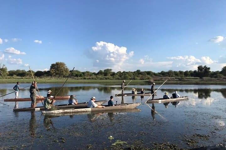 Okavango Delta Camping Safari: Mokoro Rides & Moremi Game Drives photo 6