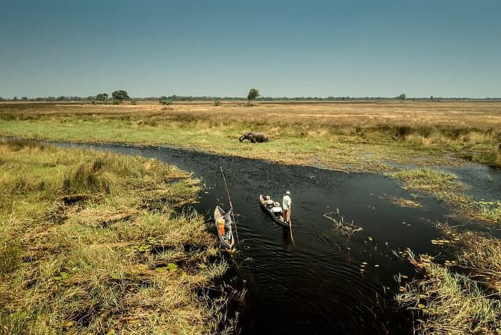 Okavango Delta Camping Safari: Mokoro Rides & Moremi Game Drives