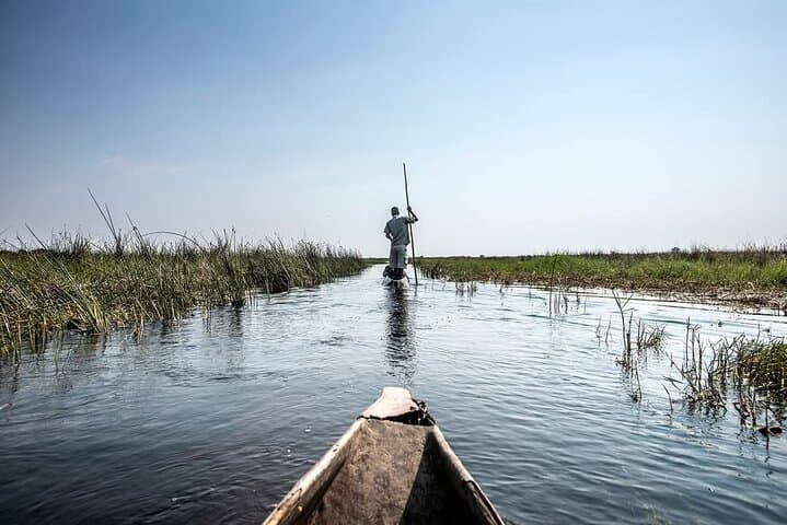 Khwai 2-Day Camping Safari: Mokoro, Game Drives & Bush Camping from Maun