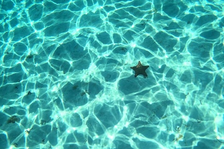 El Cielo Snorkeling Shore Excursion Cozumel for Cruise Passengers photo 3