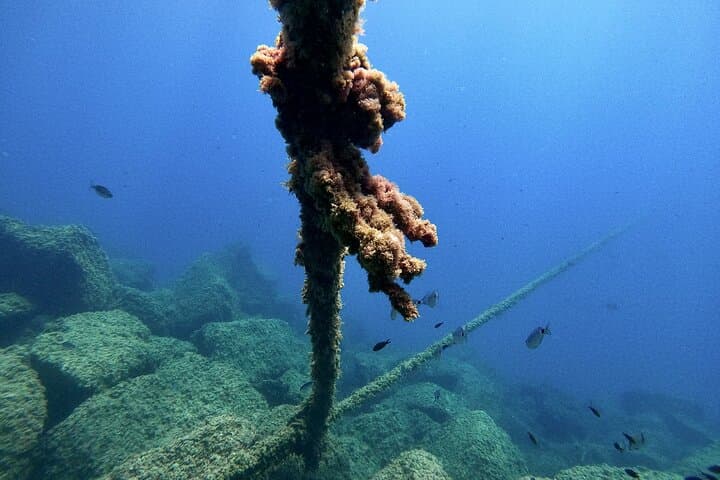 First Sea Dive in Cambrils: Introductory Diving Christening at Cala Vidre photo 4