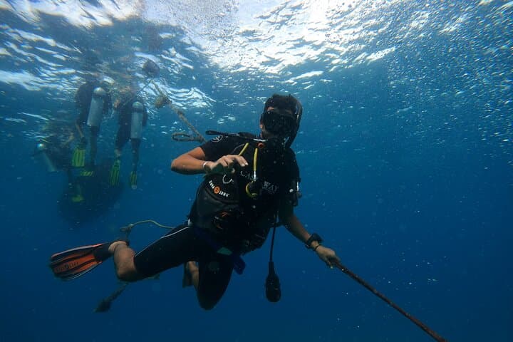 First Sea Dive in Cambrils: Introductory Diving Christening at Cala Vidre photo 6
