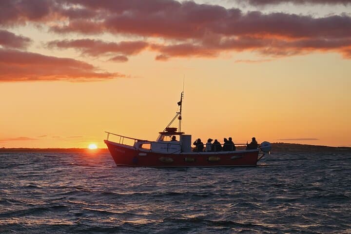 Sundown Cruise Around Ireland's Eye from Howth Harbour photo 3