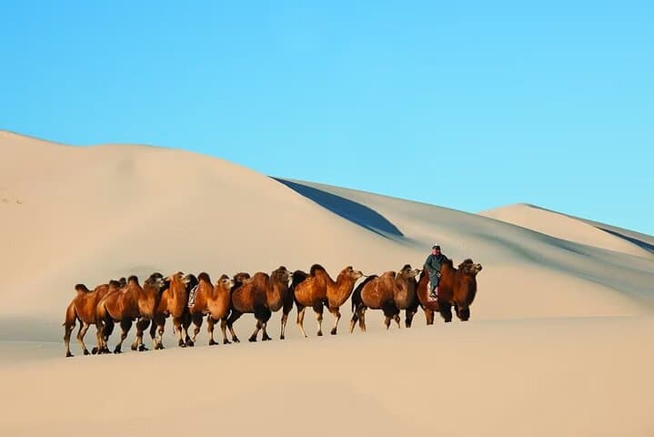 Gobi Desert & Central Mongolia: 15-Day Ger-Camp Cultural and Adventure Tour photo 2