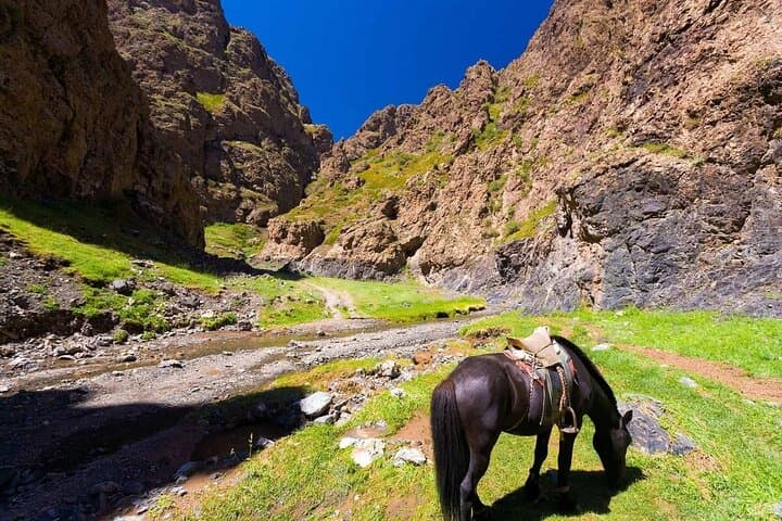 Gobi Desert & Central Mongolia: 15-Day Ger-Camp Cultural and Adventure Tour photo 6