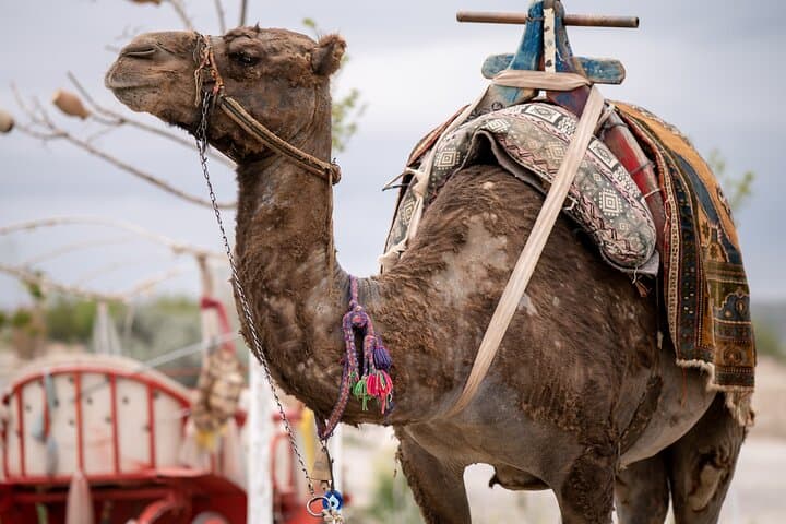 Cappadocia South Tour: Cavusin, Ozkonak & Pigeon Valley Full-Day Adventure photo 4