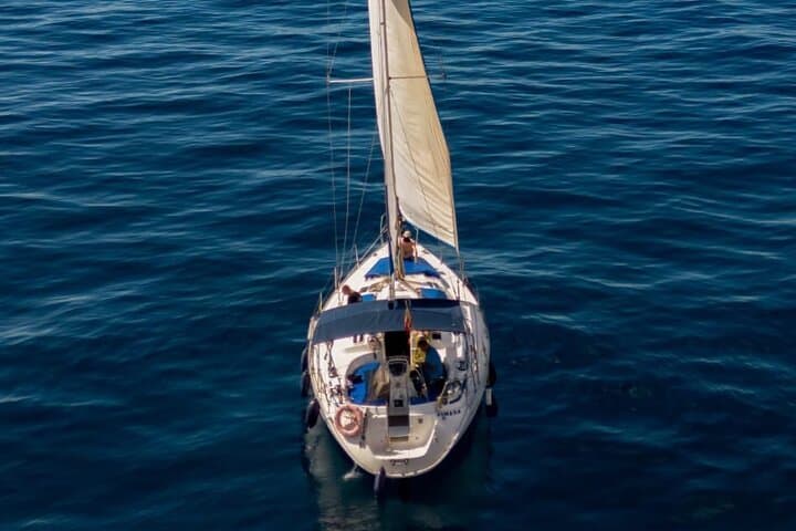 Shared Sailing Tour to See Pilot Whales off Tenerife — 3-Hour Sailing and Snorkel