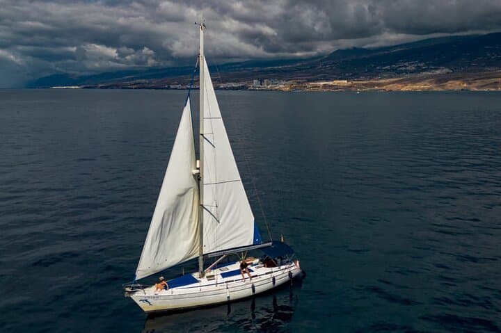 Shared Sailing Tour to See Pilot Whales off Tenerife — 3-Hour Sailing and Snorkel photo 2