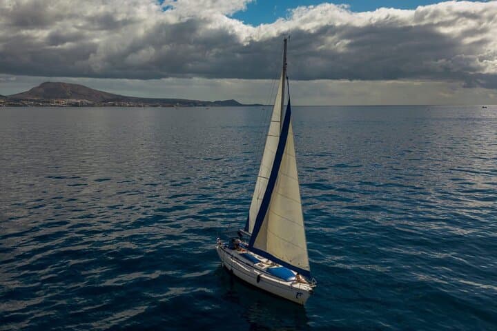 Shared Sailing Tour to See Pilot Whales off Tenerife — 3-Hour Sailing and Snorkel photo 4