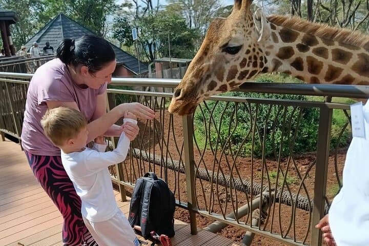 Nairobi Giraffe Centre Wildlife Encounter: Feeding Rothschild Giraffes & Nature Trail photo 2