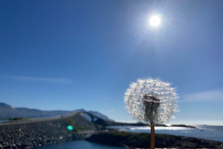 Atlantic Road Private Tour: Scenic Drive to Bud, Kristiansund & Molde photo 3