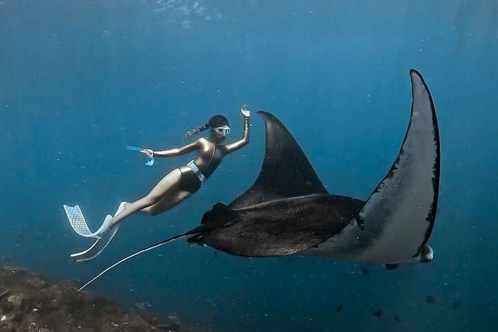 Manta Point Snorkeling and West Coast Tour — Swim with Giant Mantas on Nusa Penida photo 2