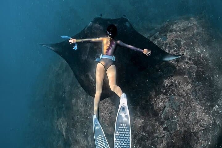 Manta Point Snorkeling and West Coast Tour — Swim with Giant Mantas on Nusa Penida photo 3