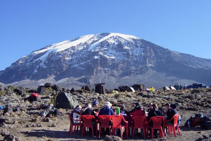 Mandara Hut Day Hike on Mount Kilimanjaro (Marangu Route) — From Arusha in One Day photo 5