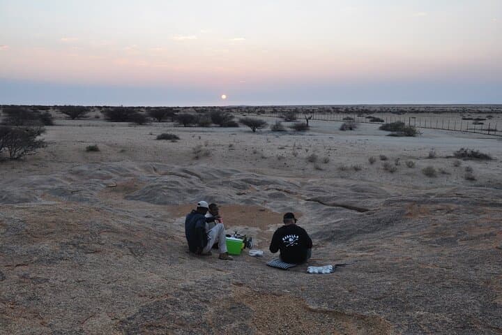 7-Day Namibia Wildlife & Rock Art Safari — Spitzkoppe to Etosha photo 4
