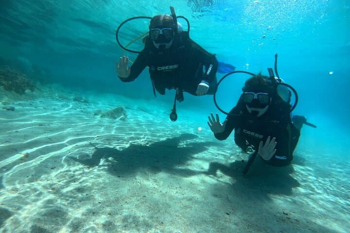 Beginner Scuba in Sithonia: Calm Bays, Colorful Reefs & Small-Group PADI Dives photo 3