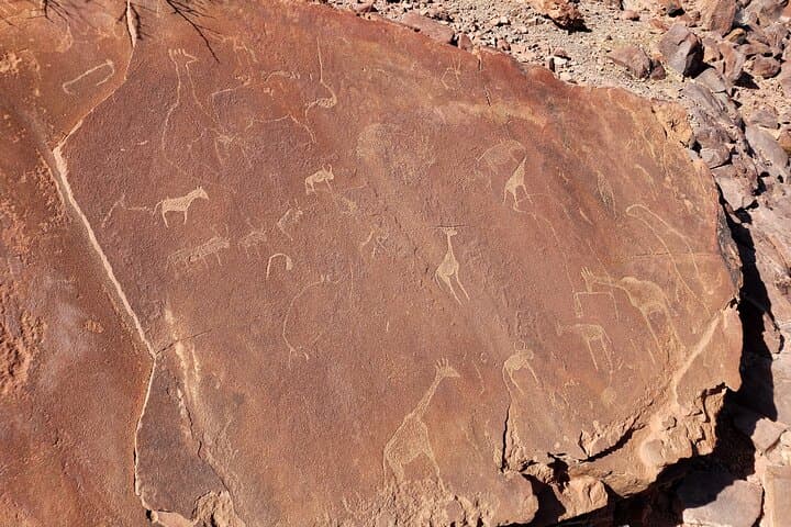 7-Day Namibia Wildlife & Rock Art Safari — Spitzkoppe to Etosha photo 6