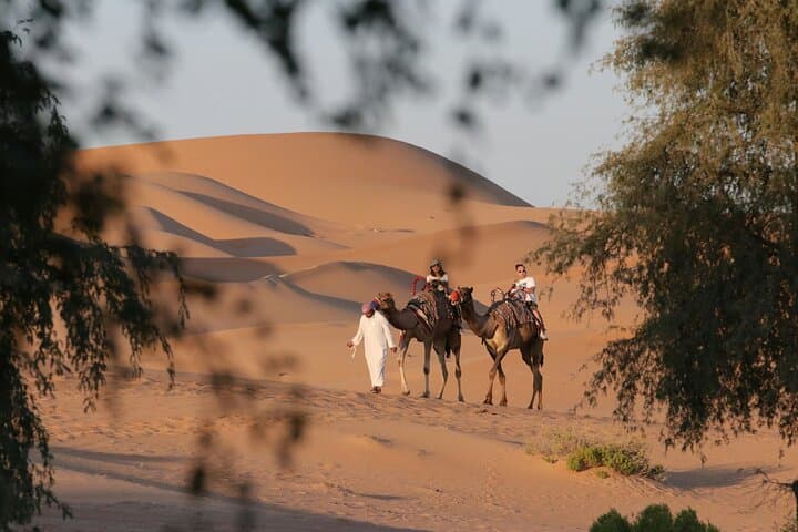 Dubai Morning Desert Safari: Dune Bashing, Camel Ride & Quad Bike Option photo 6