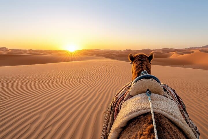 Dubai Morning Desert Safari: Dune Bashing, Camel Ride & Quad Bike Option photo 3