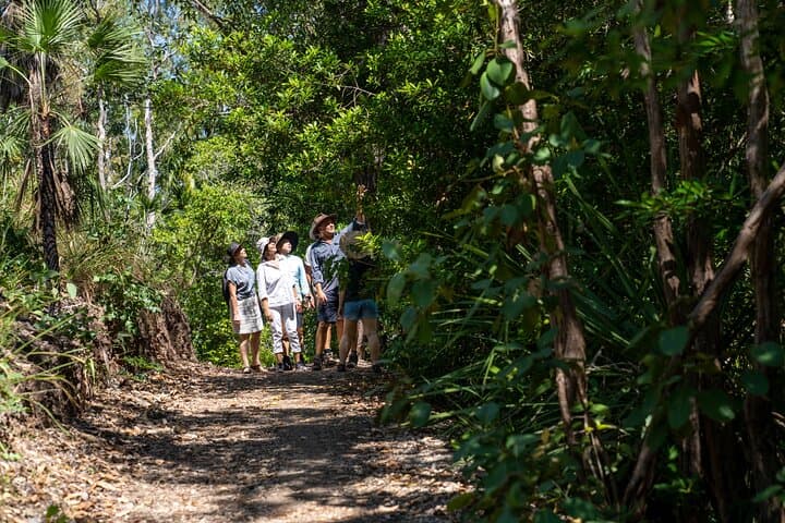 Small-Group Premium Litchfield Day Tour — Waterfalls, Swimming & Gourmet Lunch photo 1